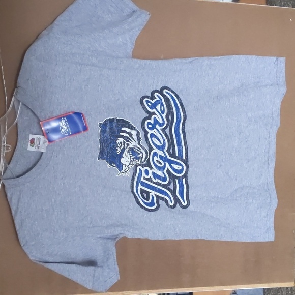 Tigers size L boys/unisex tshirt. Gray with blue tiger - Picture 1 of 3